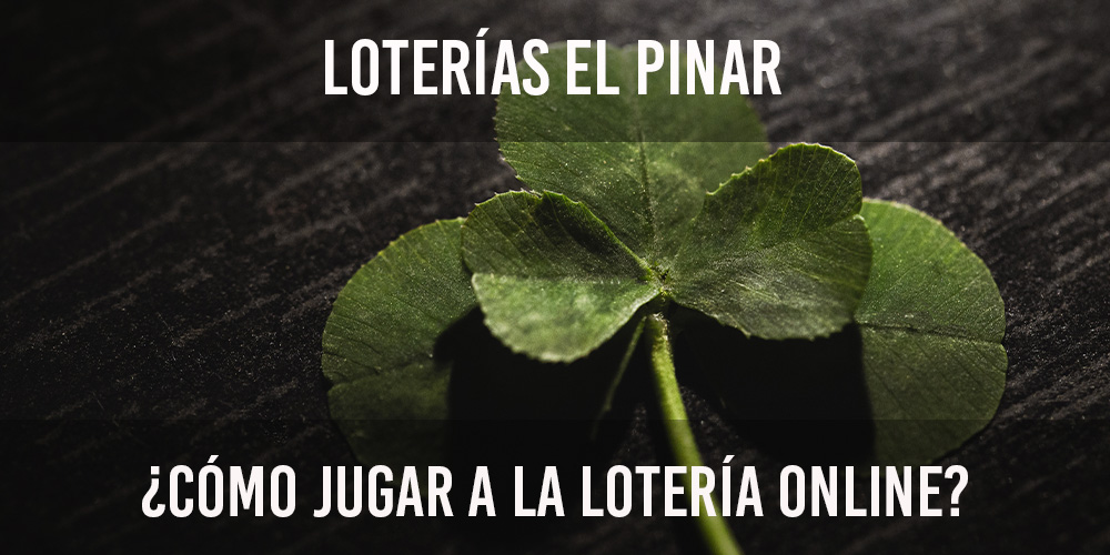 ¿cómo jugar a la loteria online?